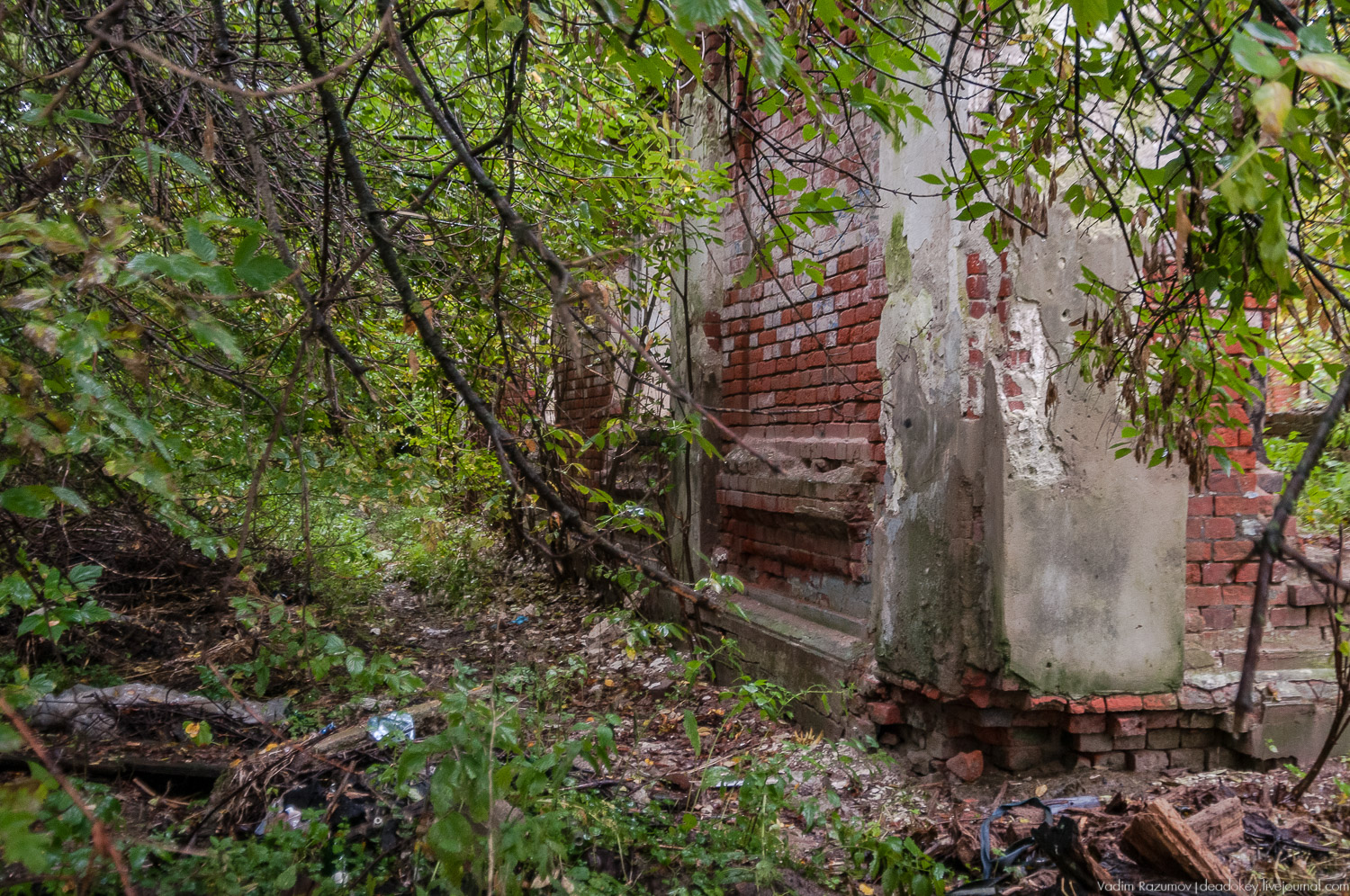 Программа Усадьбы Подмосковья, рубль за метр 2018