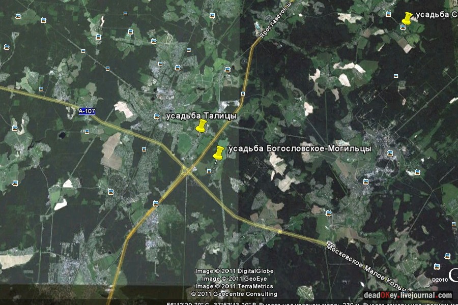 усадьба Богословское-Могильцы