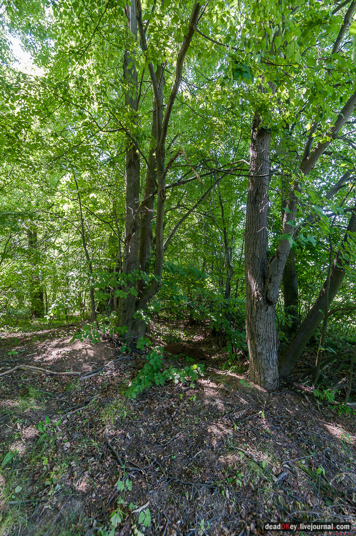 усадьба Мещерино