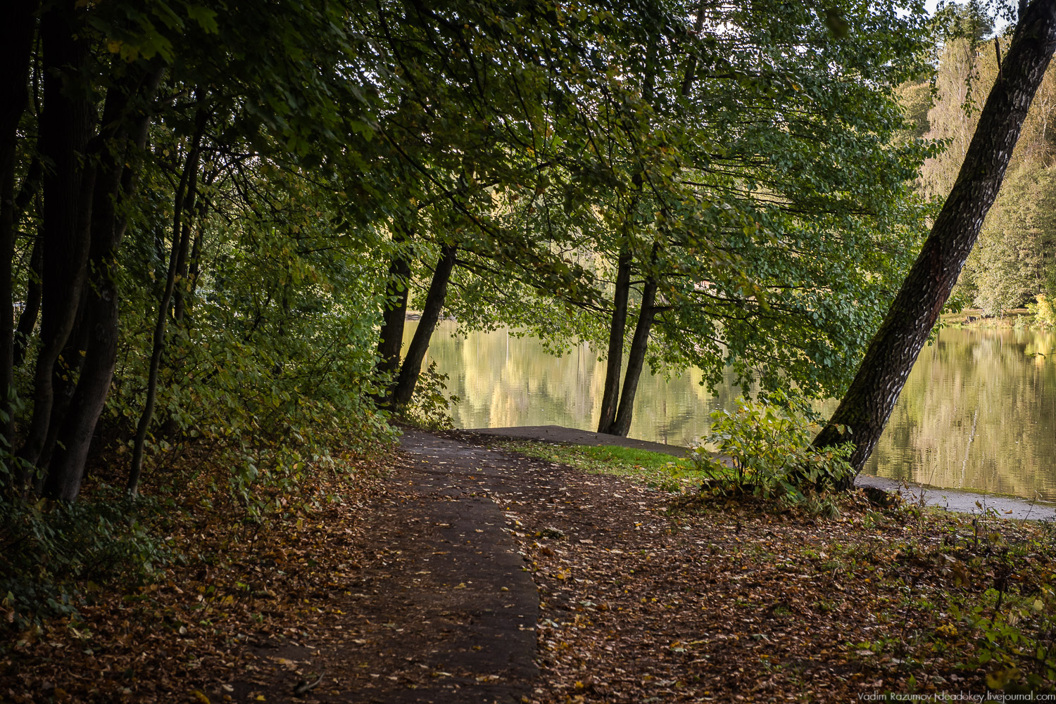 Алексеевская роща, путевой дворец Алексея Михайловича, Лосиный остров, музей охоты