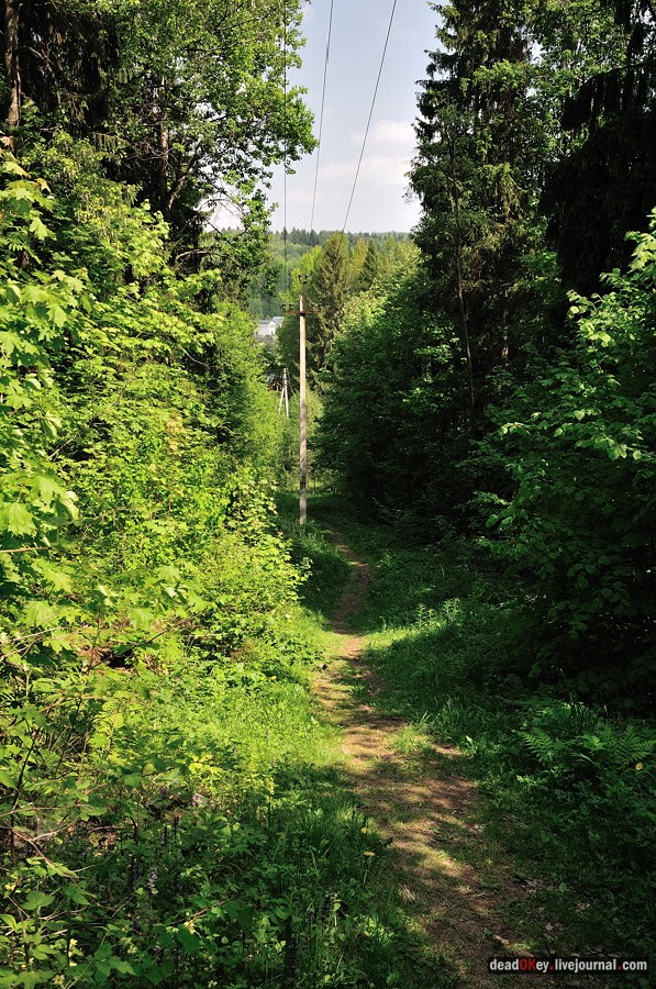 усадьба Ситники