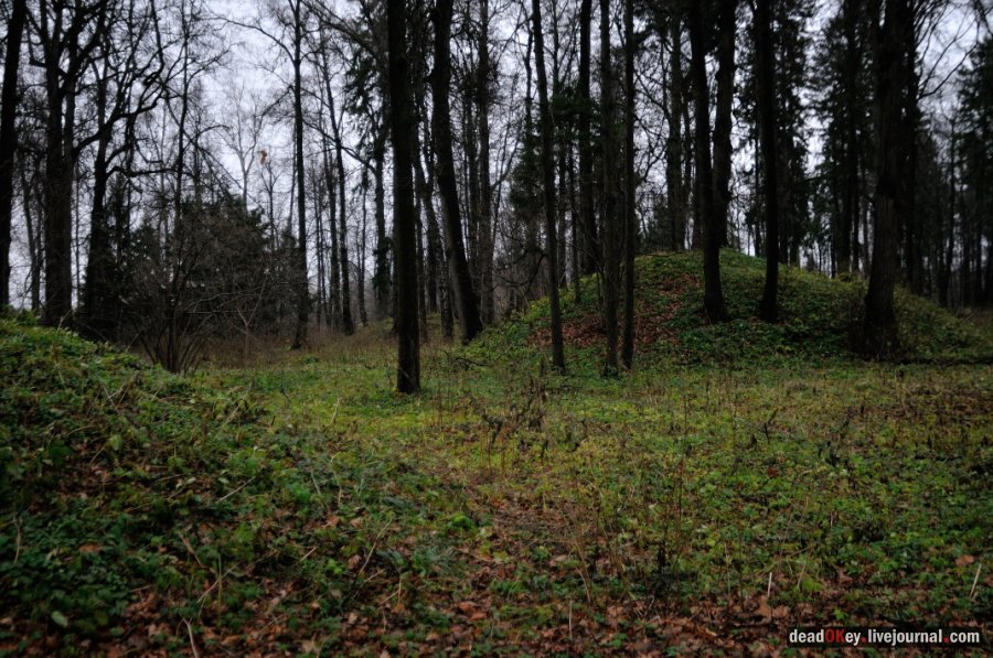 усадьба Горки Ленинские