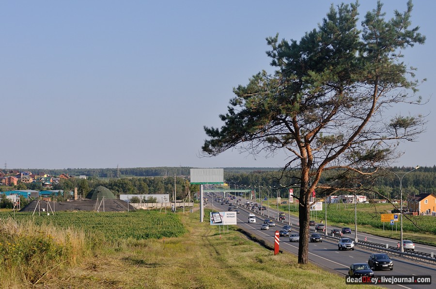 усадьба Шишкино