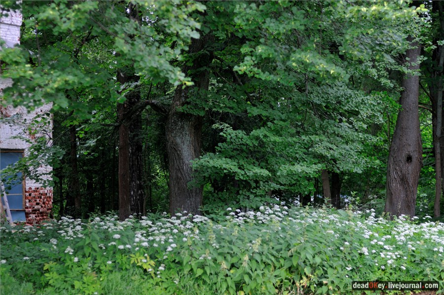 усадьба Паньково