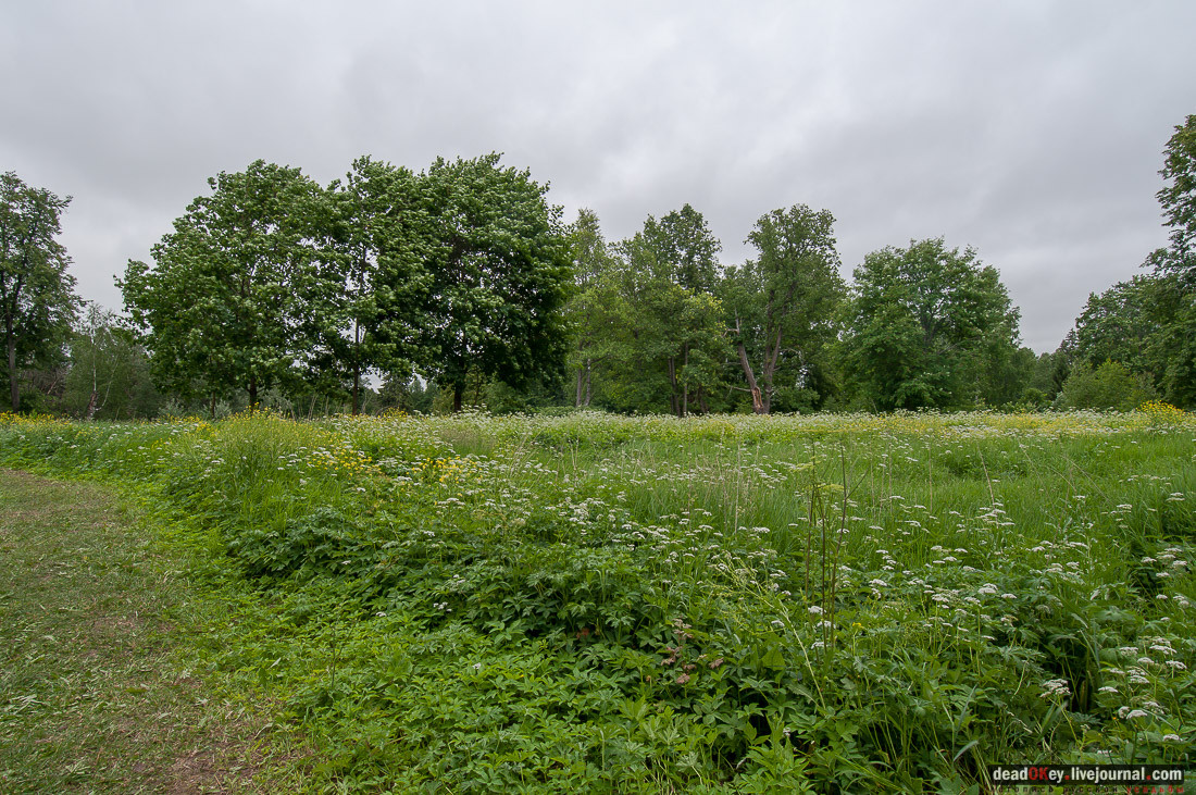 усадьба Василёво, Тверская область, Торжокский район