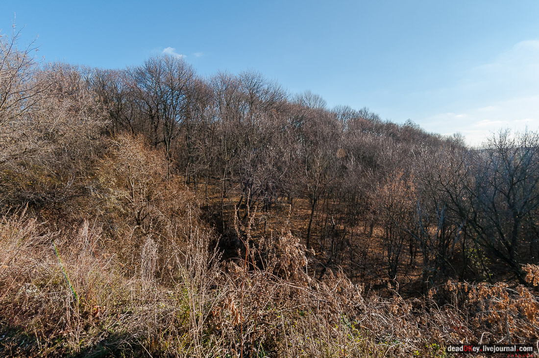 усадьба Полибино