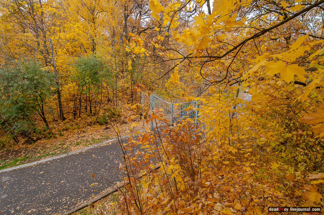 усадьба булочника Филиппова (пос. Спортбаза), Подольский район, Перемышль Московский