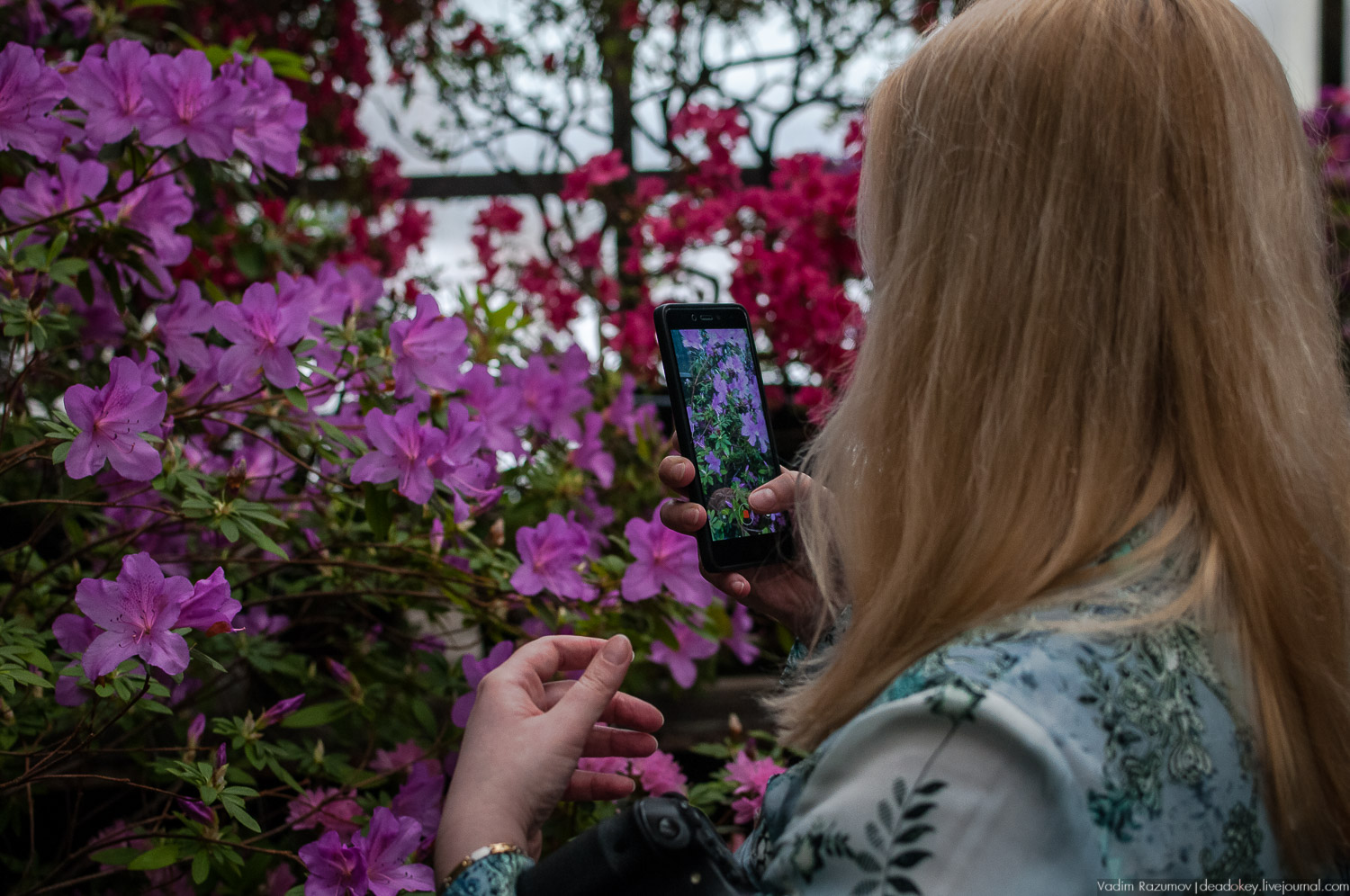 Ботанический сад, фондовая оранжерея, Экоэлектричка, борщевик