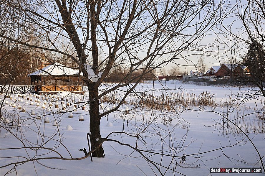 усадьба Осеченки