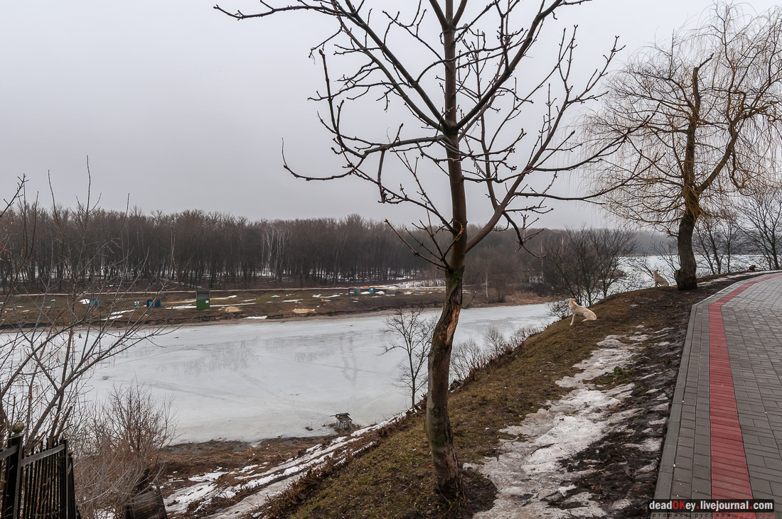 усадьба Асеевых, г.Тамбов