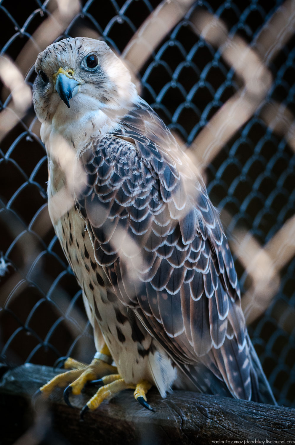 Липецкая область, аудиогид по трассе М4