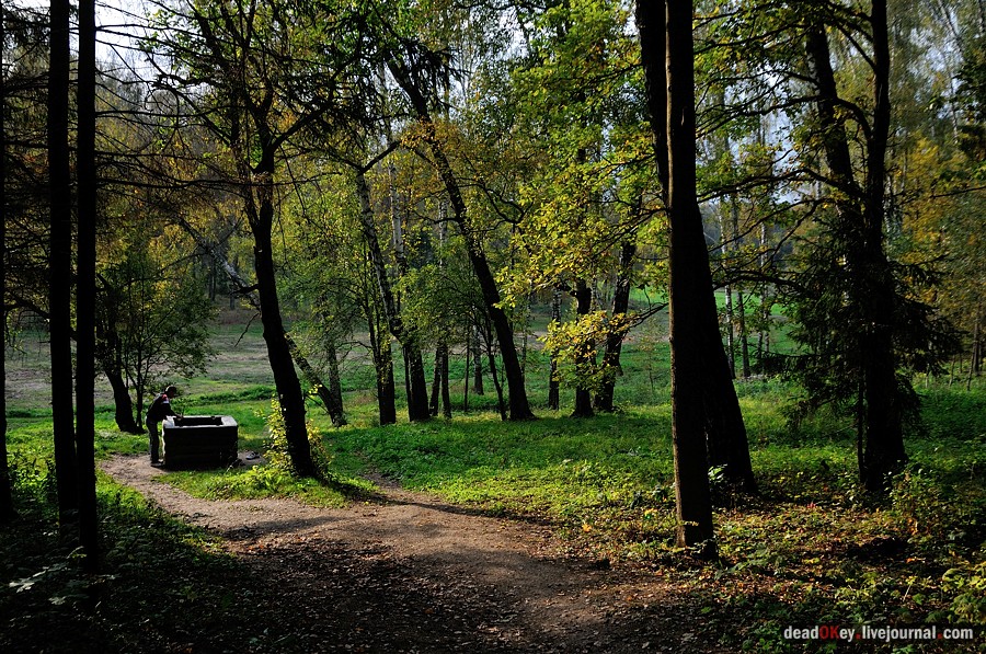 усадьба Ясная Поляна