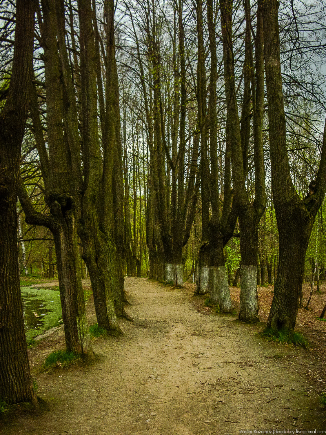 усадьба Узкое, город Москва, санаторий