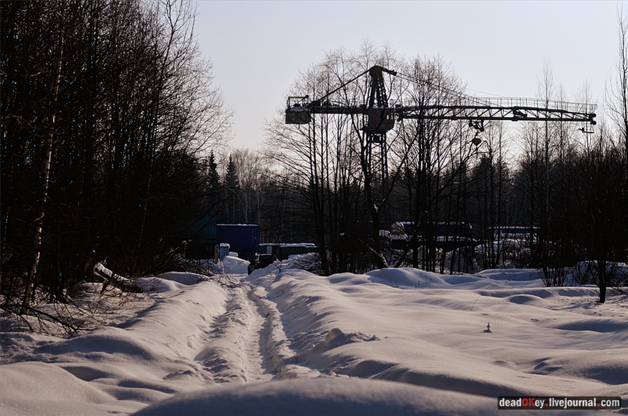 усадьба Костино Сабашниковых