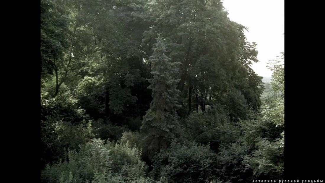 фильм Лев Толстой (1984), усадьба Ясная Поляна, Тульская область, Щекинский район, дер. Ясная Поляна.