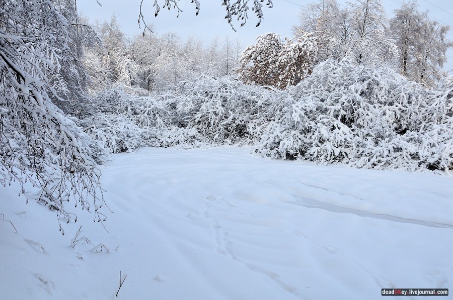 усадьба Красково