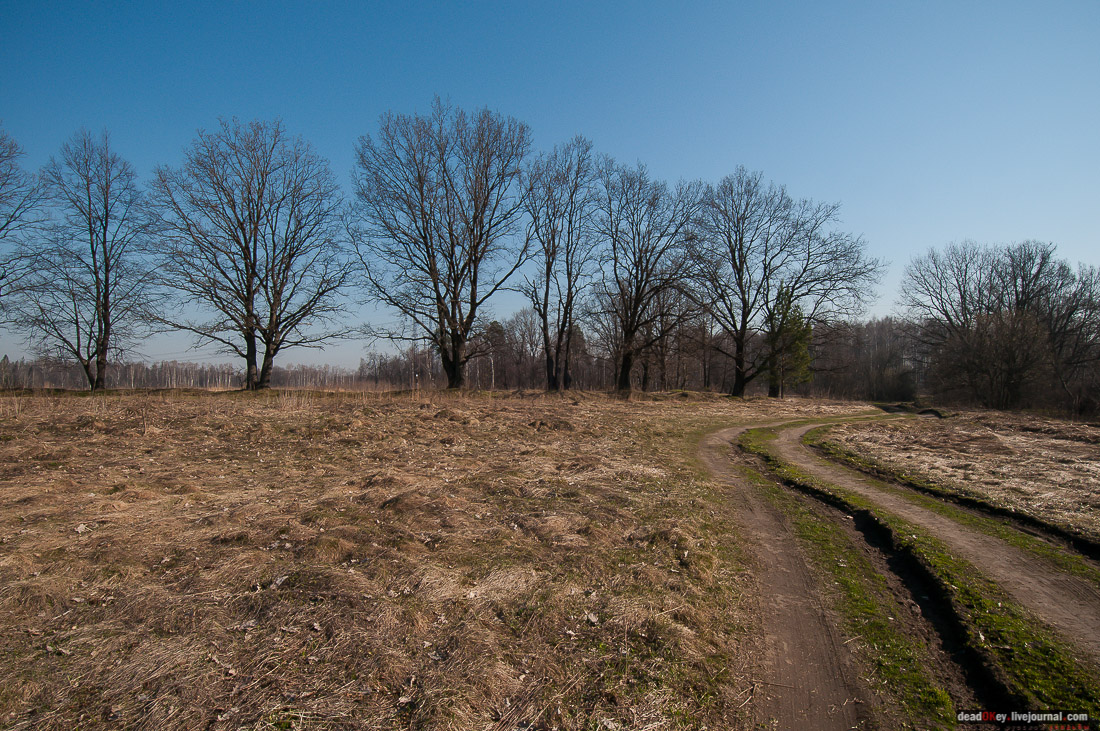 усадьба Савинское (исследование масонского парка)