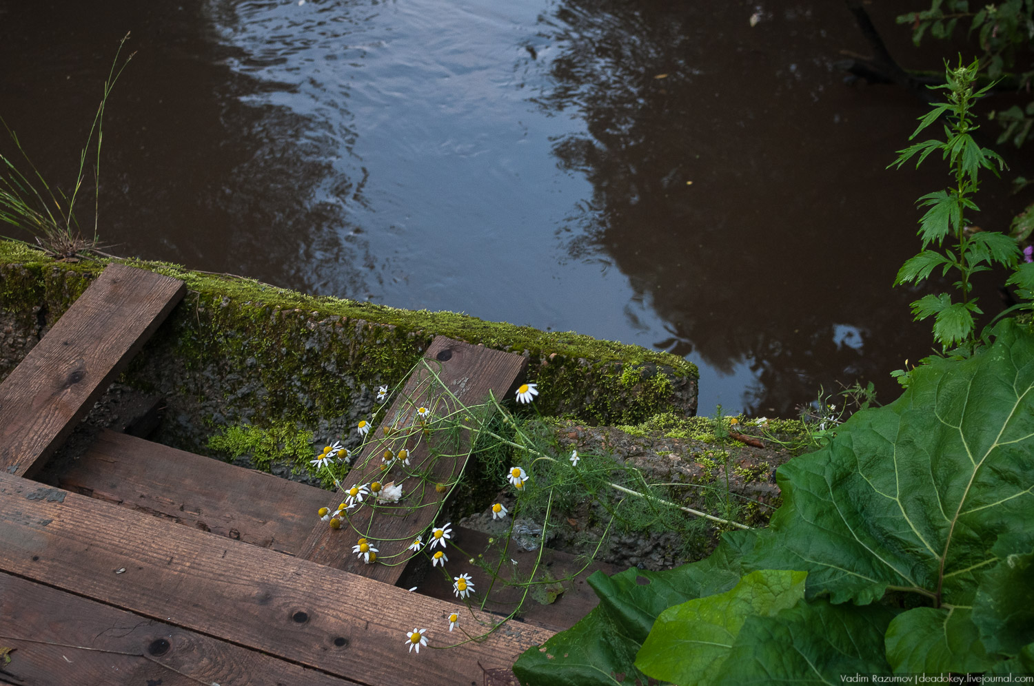 Закат, туман, Стромынь