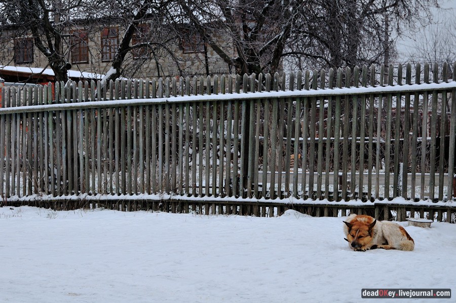 усадьба Быково
