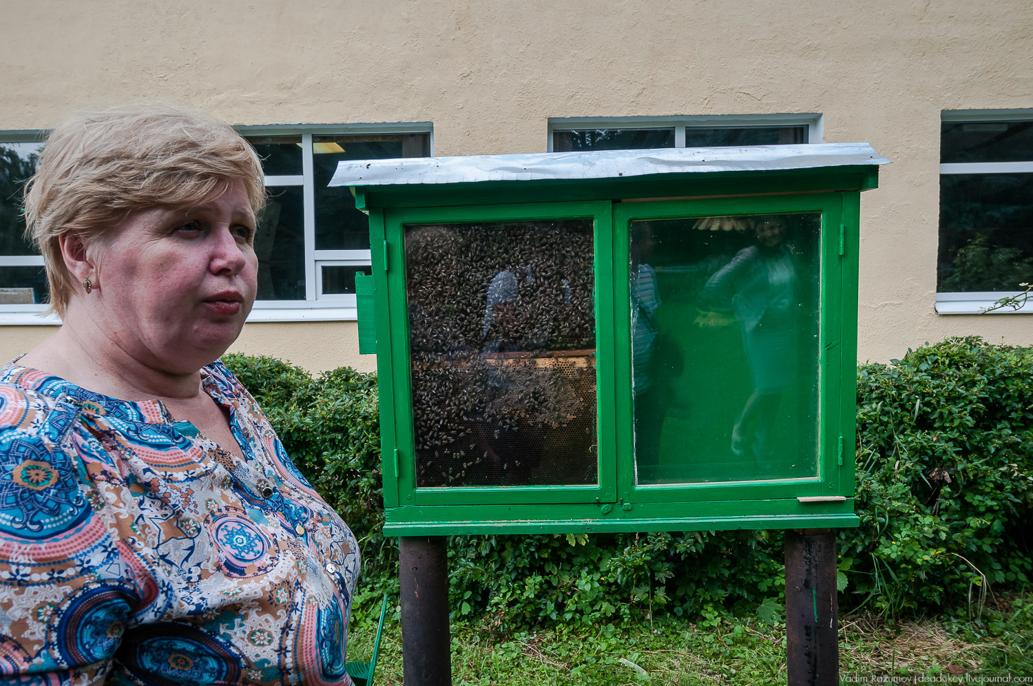 НИИ Пчеловодства, Рязанская область, Рыбное