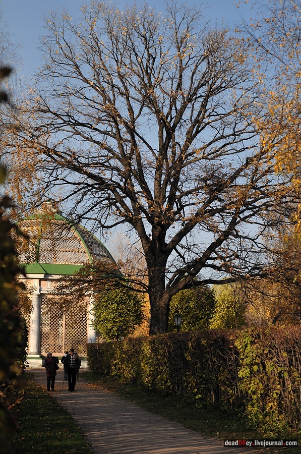 усадьба Кусково