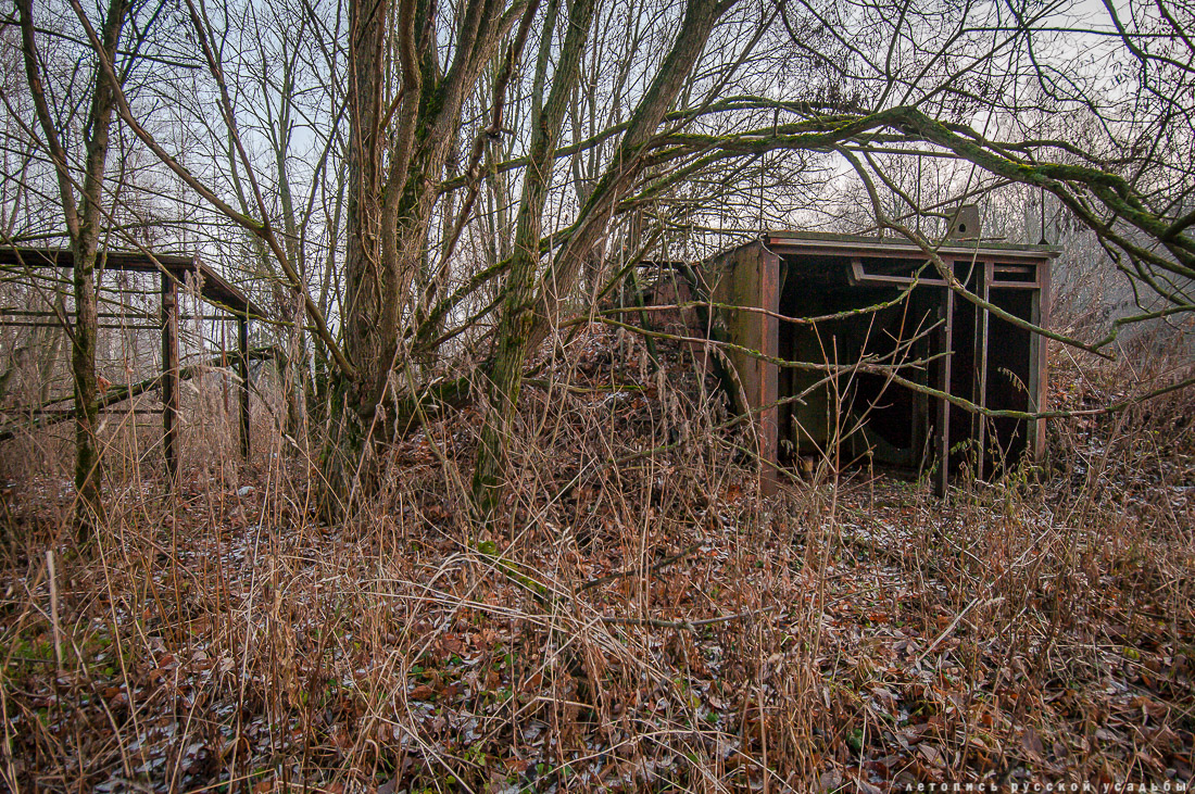 усадьба Синево, Истринский район