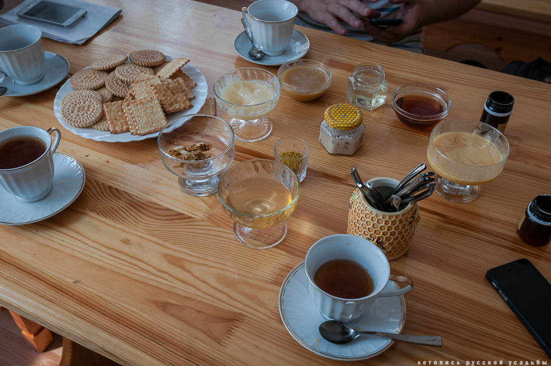 Усадебный экспресс в Константиново