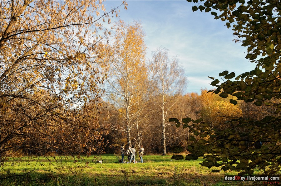 усадьба Кусково и Плющево