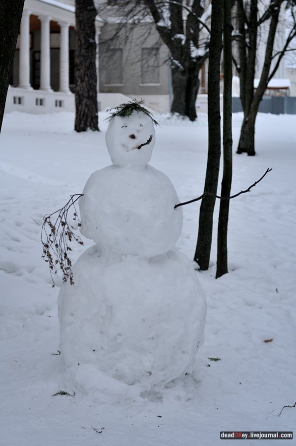 усадьба Остафьево