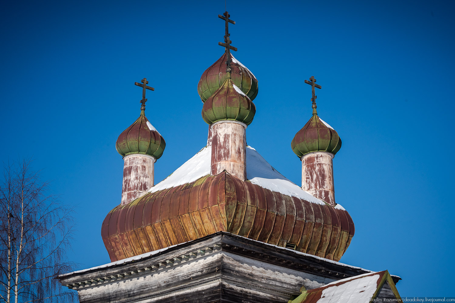 Русский север, экскурсия Усадебный экспресс, Архангельская область