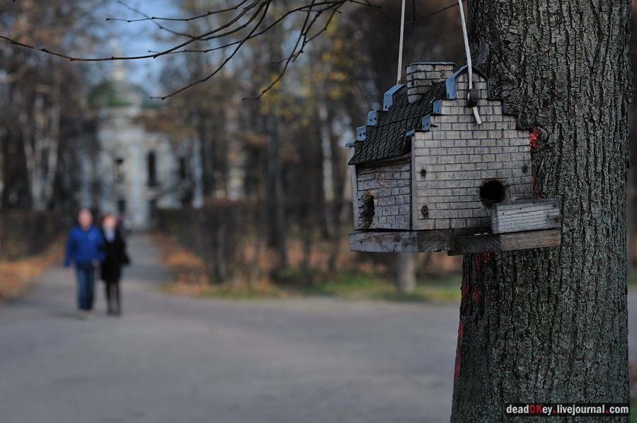 усадьба Кусково