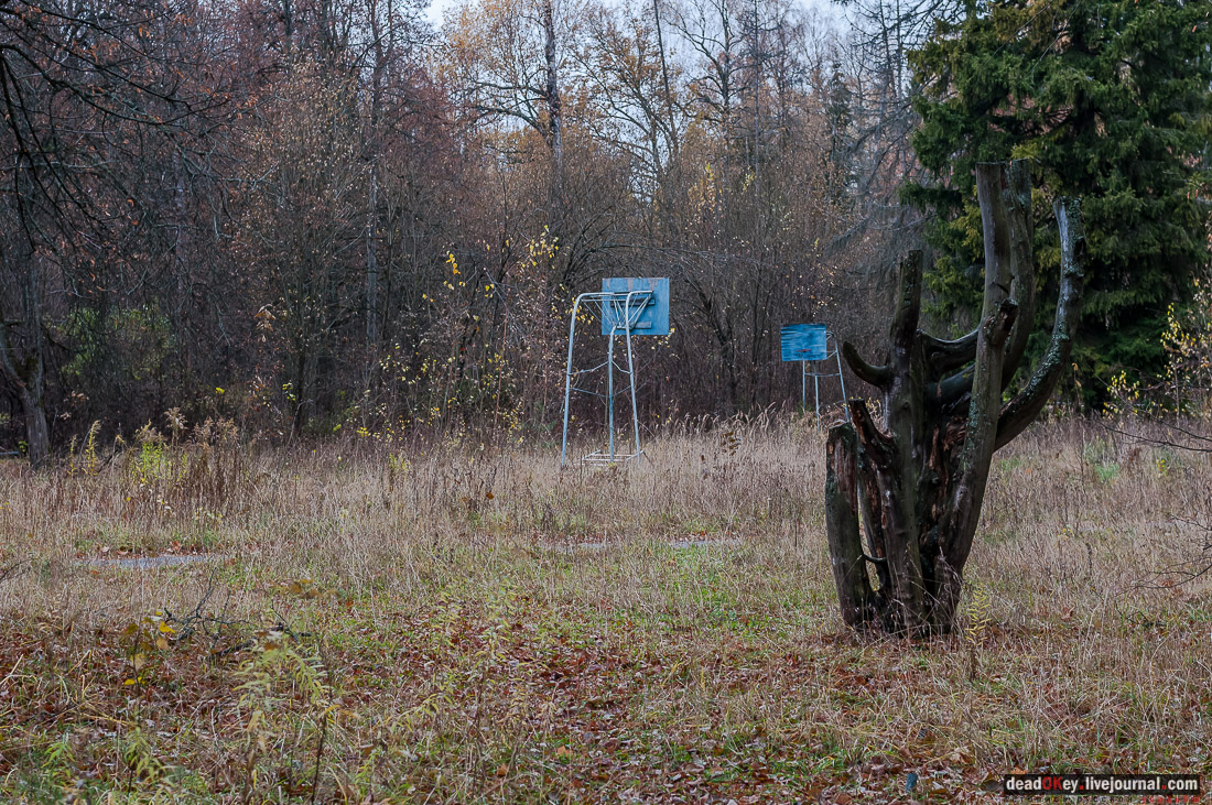 Усадьба Любвино