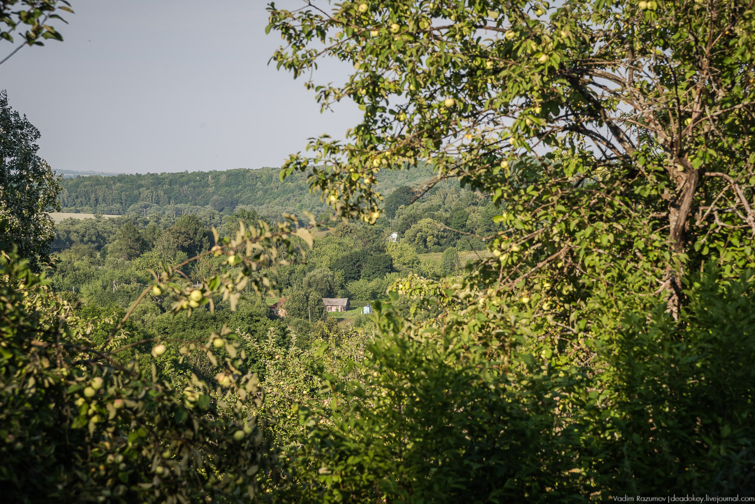 усадьба Никольское-Вяземское, Тульская область