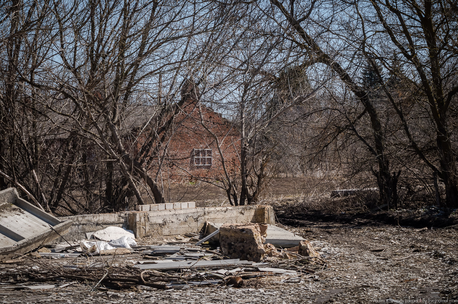 усадьба Моховое, Орловская область