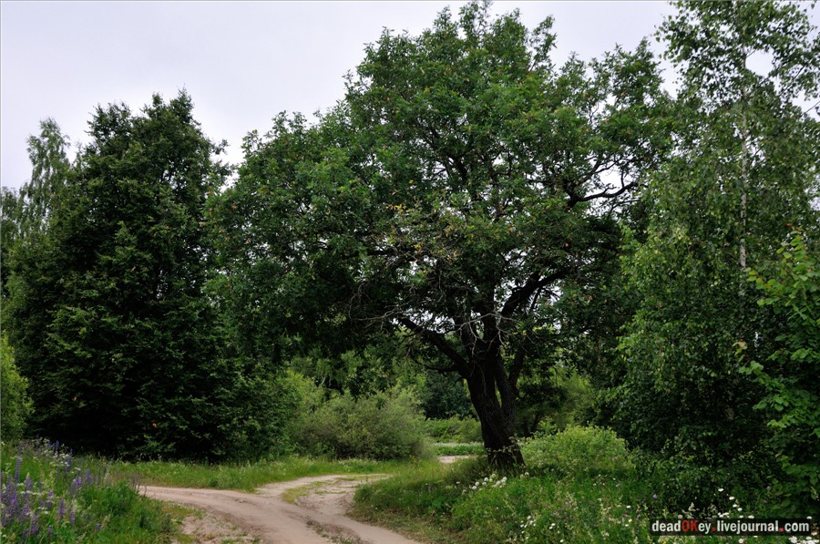 усадьба Фуникова Гора Прокудина-Горского