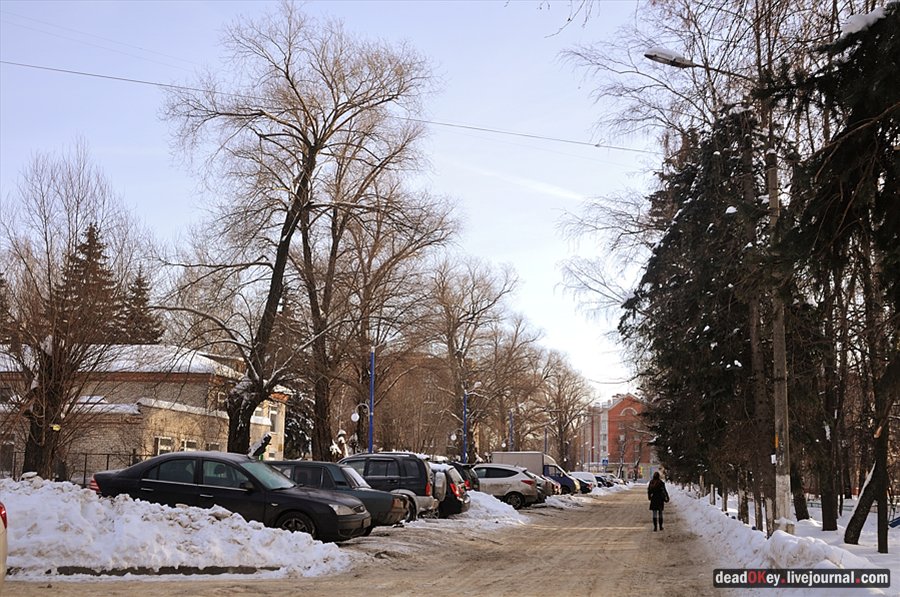 усадьба Коренево