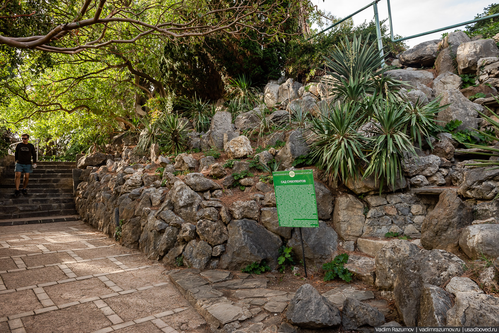 Никитский ботанический сад