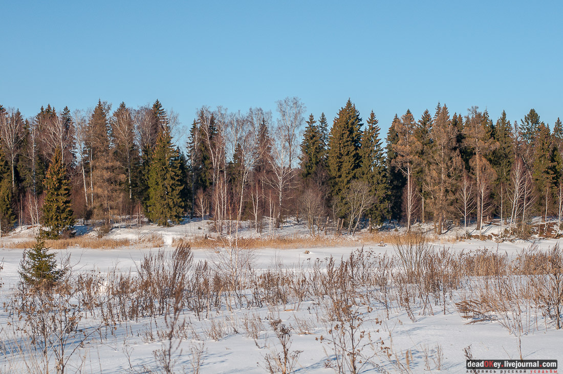 усадьба Ивановское-Козловское