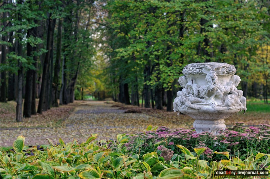 усадьба Петровское-Разумовское