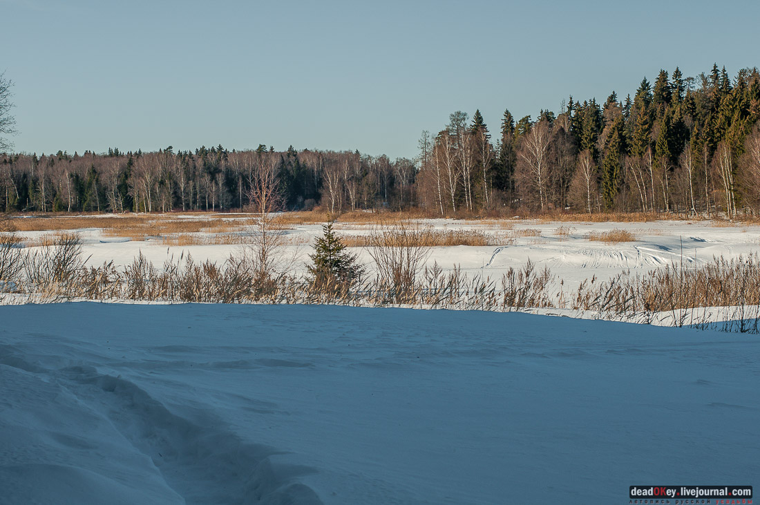усадьба Ивановское-Козловское