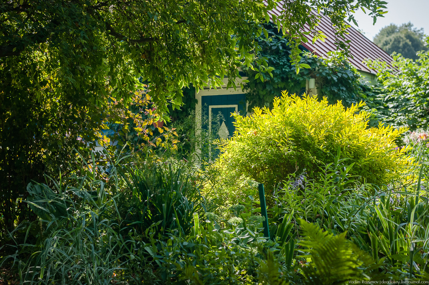 Таруса, дом-музей Паустовского