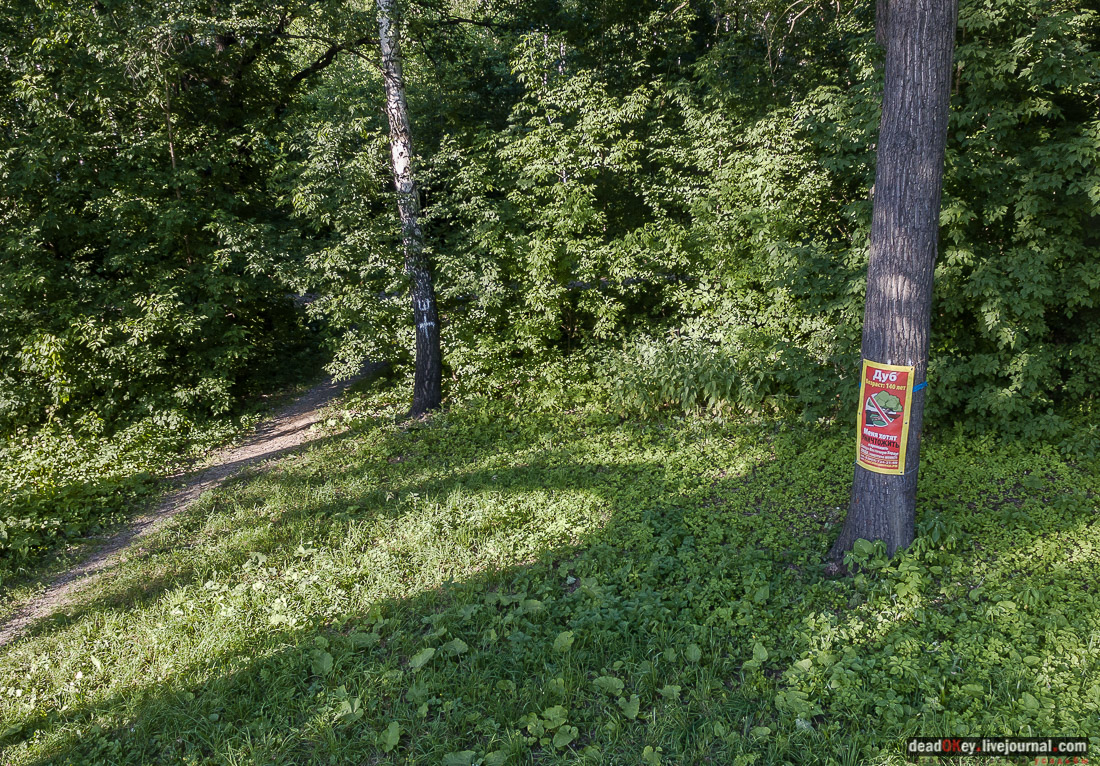 усадьба Кусково с квадрокоптера