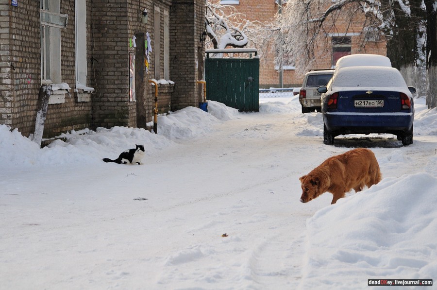 усадьба Красково