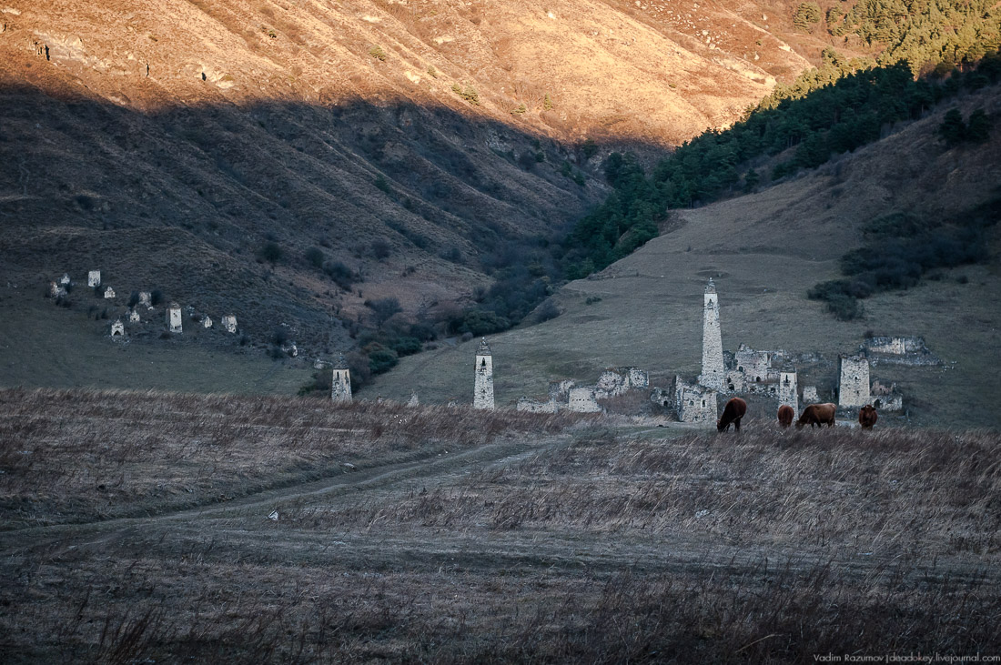 Башенный комплекс Таргим, Ингушетия, Джейрахский район.