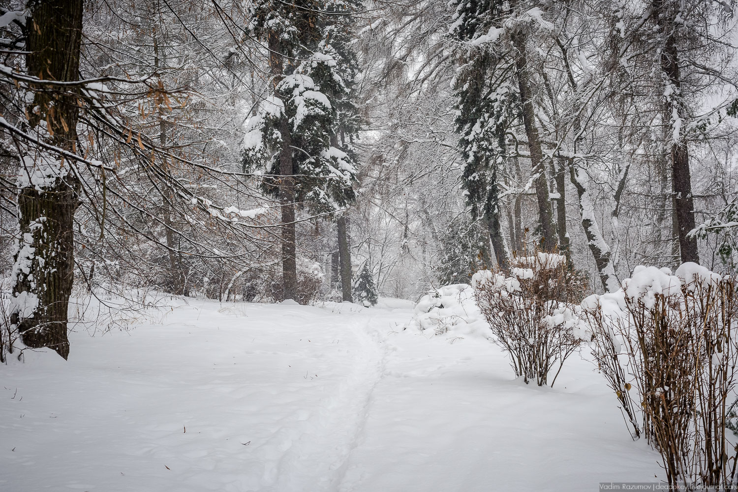 усадьба Горки Ленинские, 2018 год, Летопись русской усадьбы, Вадим Разумов