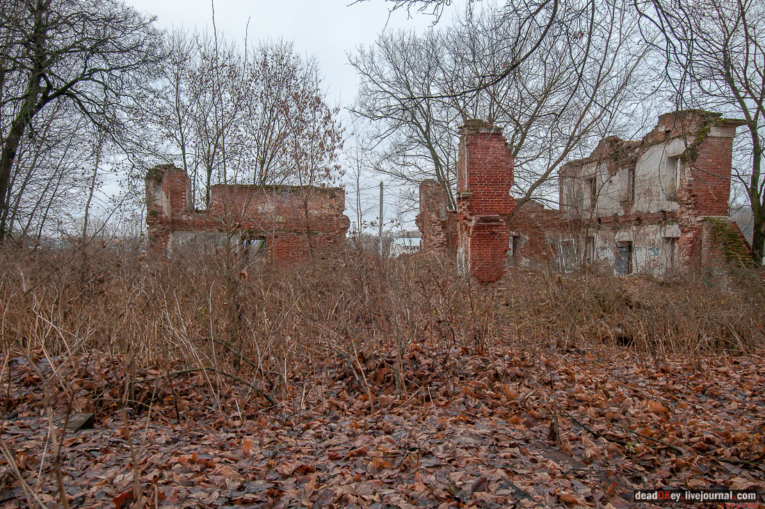 Усадьба Ляхово, съемки на НТВ-Сегодня
