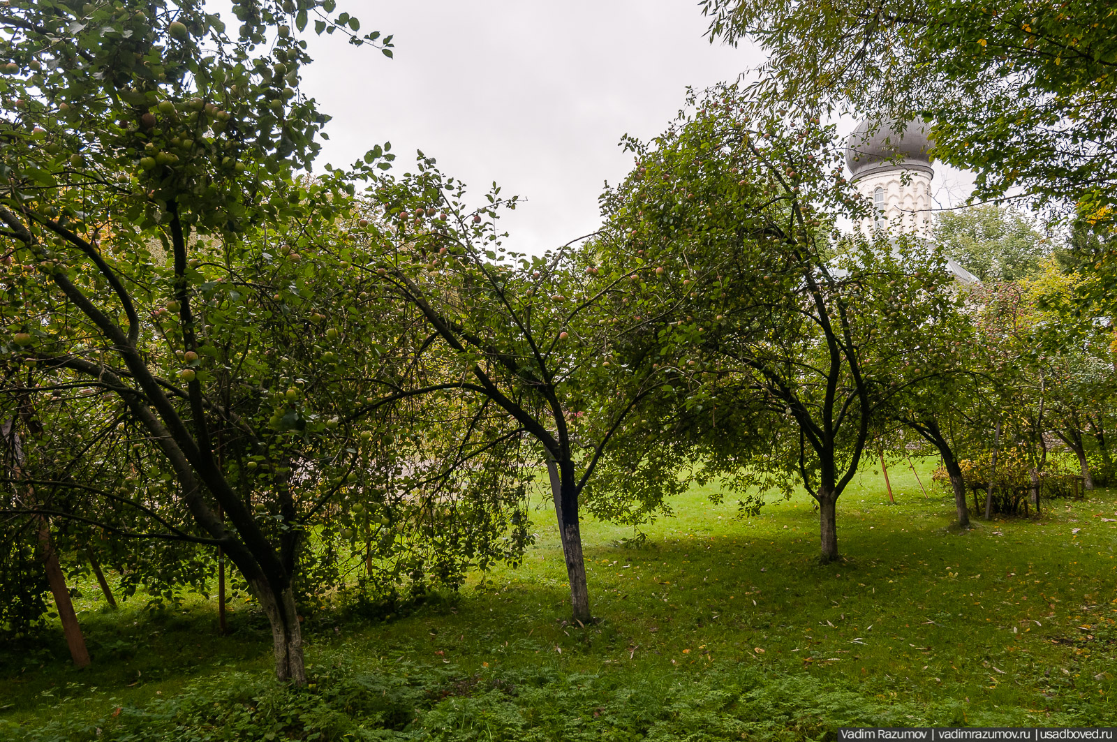 усадьба Васильевское (Марьино) Щербатовых, Рузский район, Московская область
