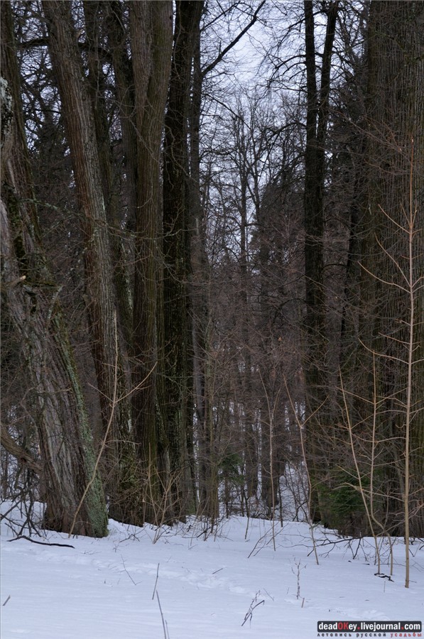 усадьба Воробьево