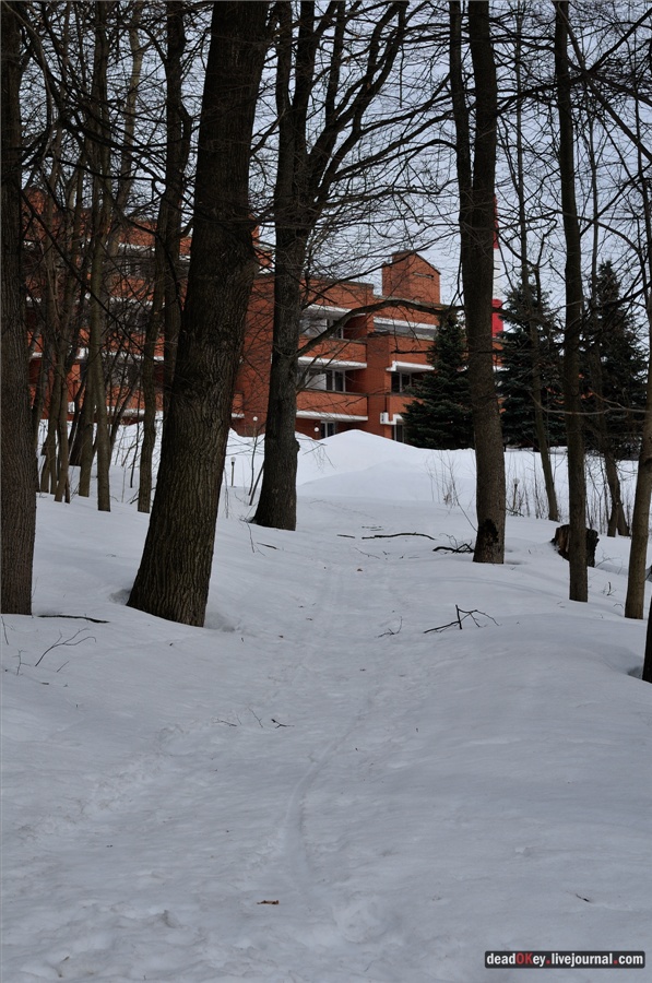 усадьба Райки