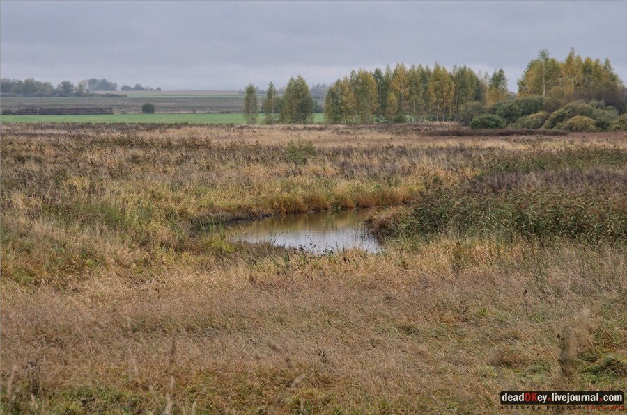 усадьба Федоровское